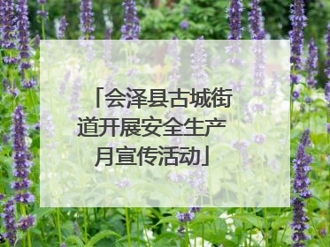会泽县古城街道开展安全生产月宣传活动