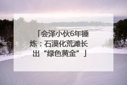 会泽小伙6年锤炼：石漠化荒滩长出“绿色黄金”