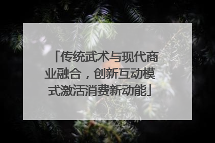 传统武术与现代商业融合，创新互动模式激活消费新动能
