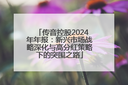 传音控股2024年年报：新兴市场战略深化与高分红策略下的突围之路