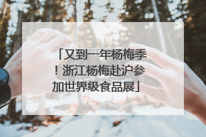 又到一年杨梅季！浙江杨梅赴沪参加世界级食品展