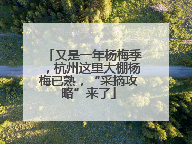 又是一年杨梅季，杭州这里大棚杨梅已熟，“采摘攻略”来了