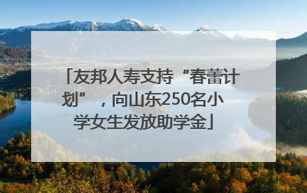 友邦人寿支持“春蕾计划”，向山东250名小学女生发放助学金