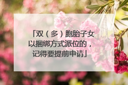 双（多）胞胎子女以捆绑方式派位的，记得要提前申请