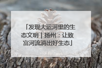 发现大运河里的生态文明｜扬州：让致富河流淌出好生态