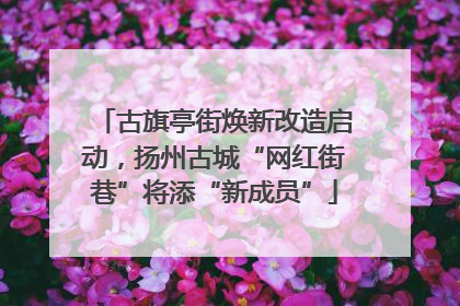 古旗亭街焕新改造启动，扬州古城“网红街巷”将添“新成员”