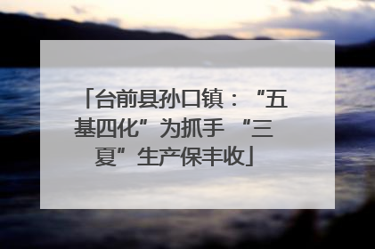 台前县孙口镇：“五基四化”为抓手 “三夏”生产保丰收