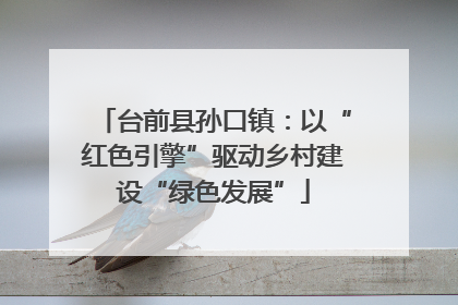 台前县孙口镇：以“红色引擎”驱动乡村建设“绿色发展”