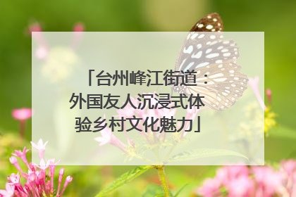 台州峰江街道：外国友人沉浸式体验乡村文化魅力