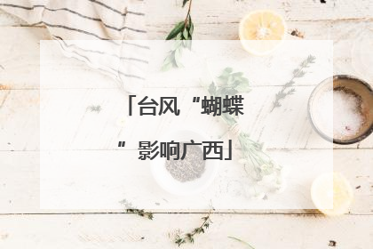 台风“蝴蝶”影响广西