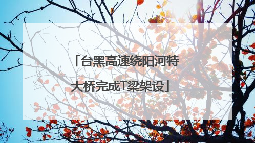 台黑高速绕阳河特大桥完成T梁架设