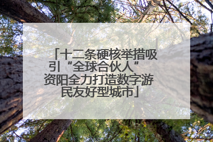 十二条硬核举措吸引“全球合伙人” 资阳全力打造数字游民友好型城市