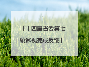 十四届省委第七轮巡视完成反馈