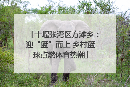 十堰张湾区方滩乡：迎“篮”而上 乡村篮球点燃体育热潮