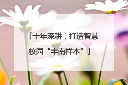 十年深耕,打造智慧校园“丰南样本”