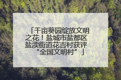 千亩葵园绽放文明之花！盐城市盐都区盐渎街道花吉村获评“全国文明村”