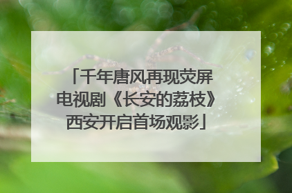 千年唐风再现荧屏 电视剧《长安的荔枝》西安开启首场观影