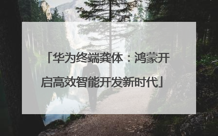 华为终端龚体：鸿蒙开启高效智能开发新时代