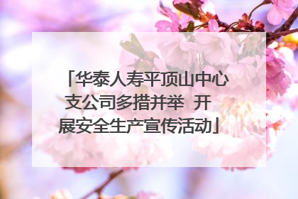 华泰人寿平顶山中心支公司多措并举  开展安全生产宣传活动