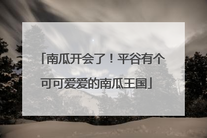 南瓜开会了！平谷有个可可爱爱的南瓜王国
