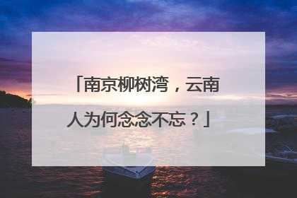 南京柳树湾，云南人为何念念不忘？