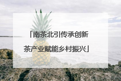 南茶北引传承创新 茶产业赋能乡村振兴
