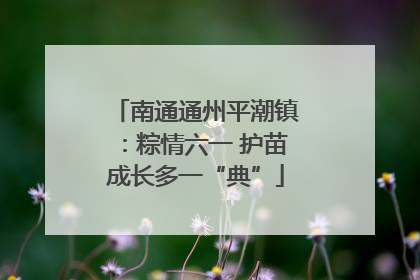 南通通州平潮镇：粽情六一 护苗成长多一“典”