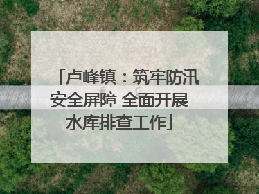 卢峰镇：筑牢防汛安全屏障 全面开展水库排查工作