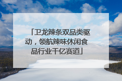 卫龙辣条双品类驱动，领航辣味休闲食品行业千亿赛道