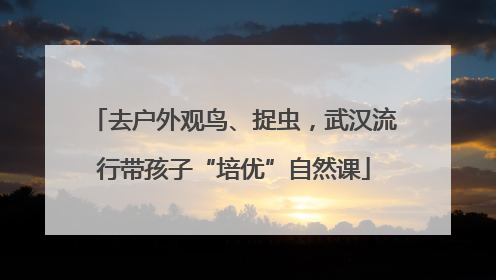 去户外观鸟、捉虫，武汉流行带孩子“培优”自然课