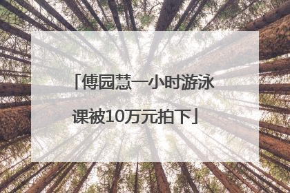 傅园慧一小时游泳课被10万元拍下