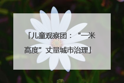 儿童观察团：“一米高度”丈量城市治理