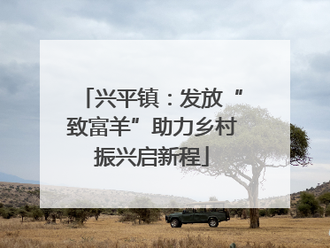 兴平镇：发放“致富羊”助力乡村振兴启新程