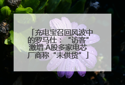 充电宝召回风波中的罗马仕：“访客”激增 A股多家电芯厂商称“未供货”