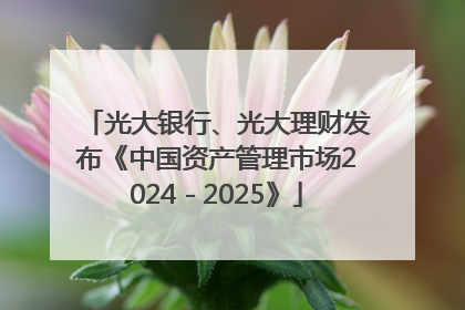 光大银行、光大理财发布《中国资产管理市场2024－2025》