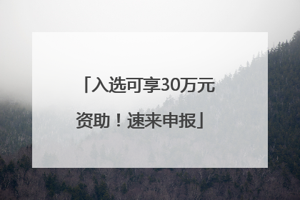 入选可享30万元资助！速来申报