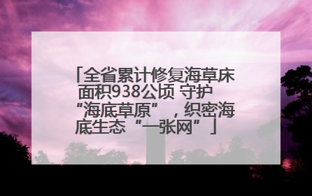 全省累计修复海草床面积938公顷 守护“海底草原”，织密海底生态“一张网”