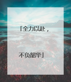 全力以赴，不负韶华