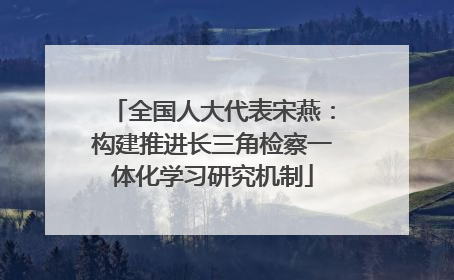 全国人大代表宋燕：构建推进长三角检察一体化学习研究机制