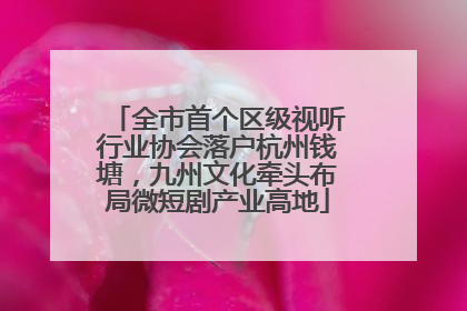 全市首个区级视听行业协会落户杭州钱塘，九州文化牵头布局微短剧产业高地