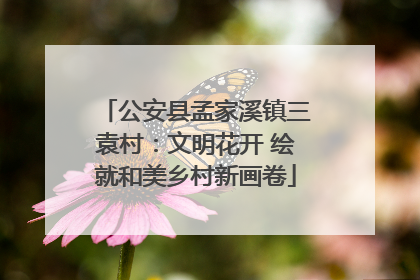 公安县孟家溪镇三袁村：文明花开 绘就和美乡村新画卷