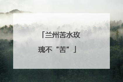 兰州苦水玫瑰不“苦”