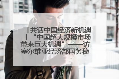 共话中国经济新机遇丨“中国超大规模市场带来巨大机遇”——访塞尔维亚经济部国务秘书尼科利奇