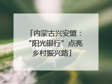 内蒙古兴安盟：“阳光银行”点亮乡村振兴路
