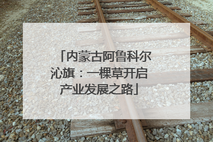 内蒙古阿鲁科尔沁旗：一棵草开启产业发展之路