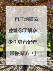 冉庄地道战遗址你了解多少？总台记者带你探访→
