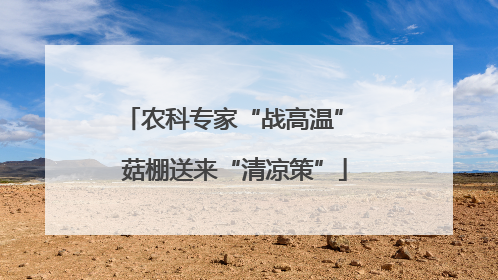 农科专家“战高温” 菇棚送来“清凉策”