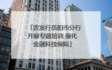 农发行岳阳市分行开展专题培训 强化金融科技保障