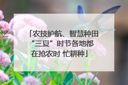 农技护航、智慧种田 “三夏”时节各地都在抢农时 忙耕种