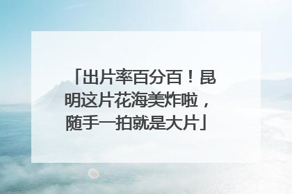 出片率百分百！昆明这片花海美炸啦，随手一拍就是大片
